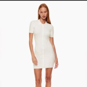 Aritzia Sunday Best Cece Dress